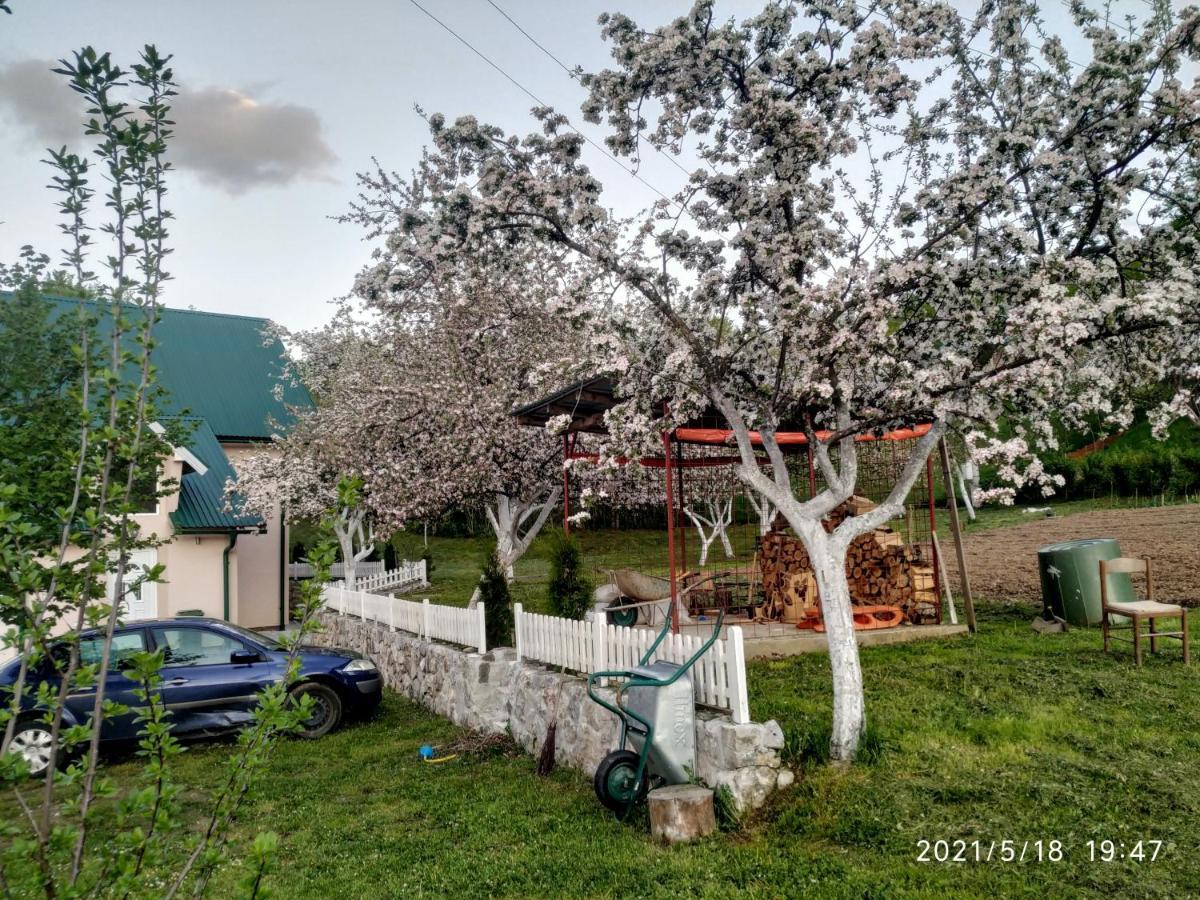 Apartments & Rooms Bojic Kolašin Zewnętrze zdjęcie